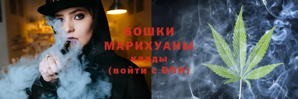 тгк Медногорск