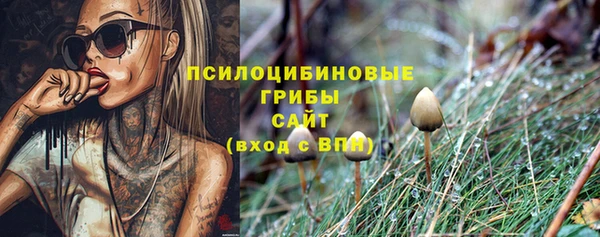 гашик Абинск