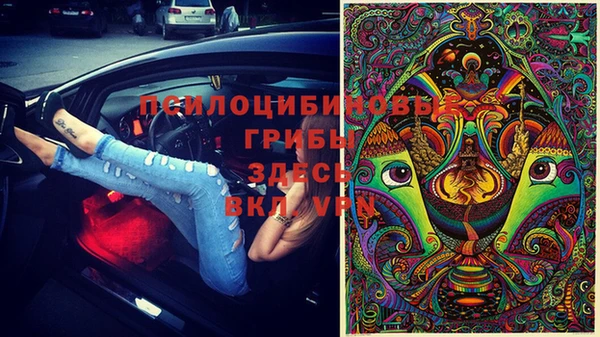 Альфа ПВП Абаза