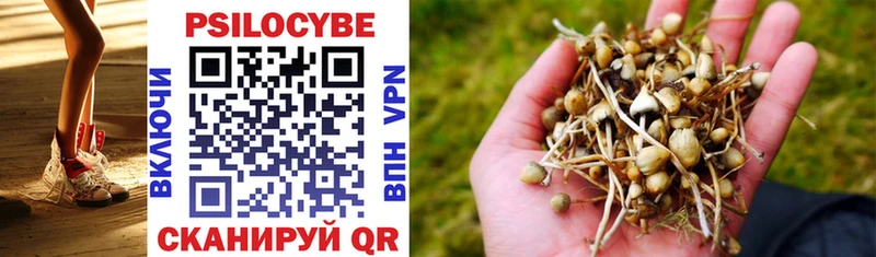 Псилоцибиновые грибы MAGIC MUSHROOMS  Азнакаево 